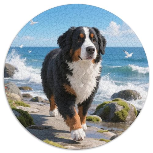 Berner BerghundJigsaw Puzzles 1000 Piece for Adults Round niedlich HaustierCreative Challenge Puzzle Toy1000pcs (67.5x67.5cm) von TDSNKAVHB