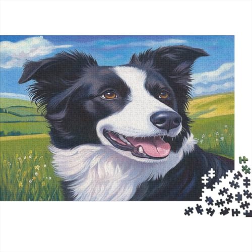 Border Collie Puzzle 1000 Teile,Puzzlespiel Für Erwachsene,Impossible Puzzle,Puzzle Geschicklichkeitsspiel Für Die Ganze Familie, Geschenke Für Männer/Frauen Erwachsenen Puzzel 1000pcs (75x50cm) von TDSNKAVHB