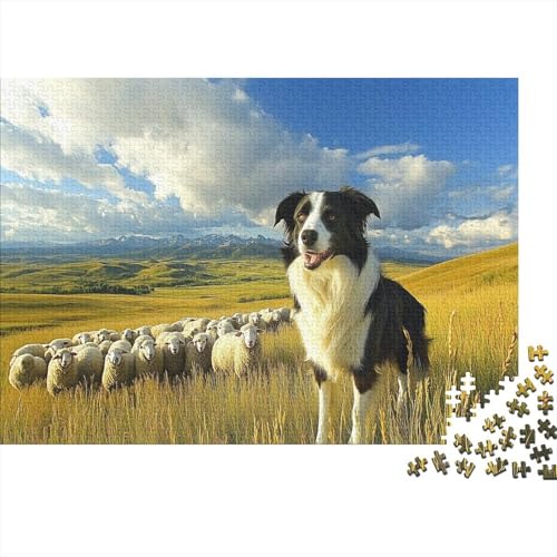 Border Collie Puzzle 1000 Teile Puzzle Erwachsene Schwieriges Schwer Puzzle Für Erwachsene Und Kinder Ab 14 Jahren Puzzel 1000pcs (75x50cm) von TDSNKAVHB