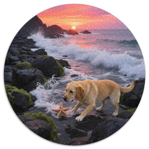 Labrador RetrieverJigsaw Puzzles 1000 Piece for Adults Round niedlich HaustierCreative Challenging Family Decorations1000pcs (67.5x67.5cm) von TDSNKAVHB