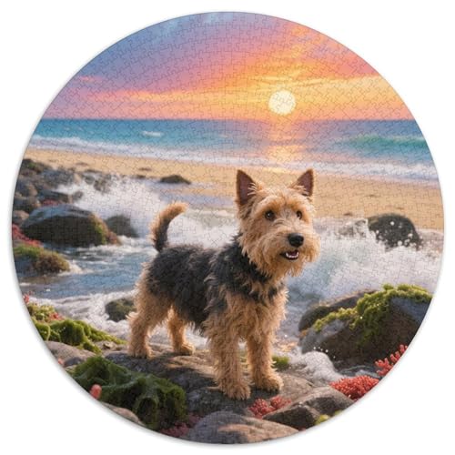 Norfolk TerrierJigsaw Puzzles 1000 Piece for Adults Round niedlich HaustierCreative Challenge Puzzle Toy1000pcs (67.5x67.5cm) von TDSNKAVHB
