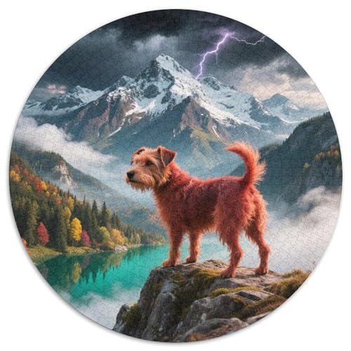Norwich TerrierJigsaw Puzzles 1000 Pieces for Adults Round niedlich HaustierCreative Challenging Puzzle Toy1000pcs (67.5x67.5cm) von TDSNKAVHB