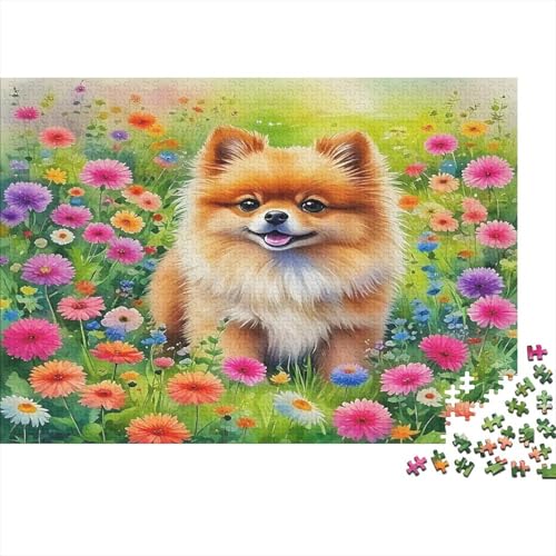 Pommern1000-teiliges Puzzle Für Erwachsene Und Kinder Bildungsspiele Nettes HaustierHerausfordernde Home Decors Tolle Geschenkidee70x50cm/1000pcs von TDSNKAVHB