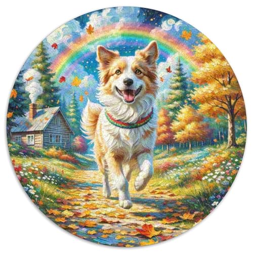 Shih TzuJigsaw Puzzles 1000 Pieces for Adults Round niedlich HaustiersCreative Challenging Toys Gift1000pcs (67.5x67.5cm) von TDSNKAVHB