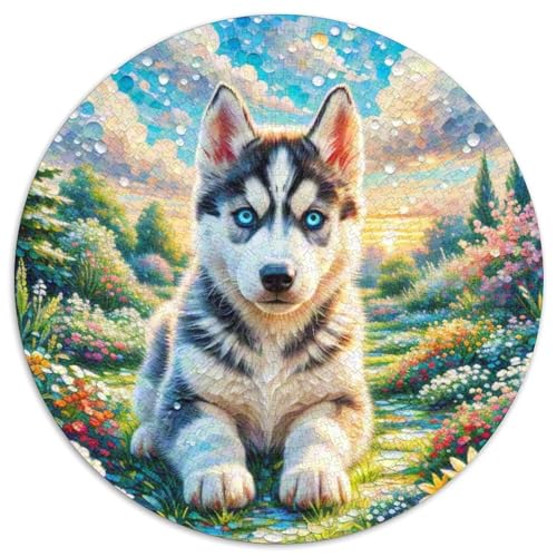 Sibirischer HuskyJigsaw Puzzle 1000 Pieces for Adults Kids Round niedlich HaustiersCreative Challenging Family Decorations1000pcs (67.5x67.5cm) von TDSNKAVHB