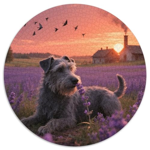 Tschechischer TerrierPuzzles 1000 Pieces for Adults Round niedlich HaustierCreative Challenge Puzzle Toy1000pcs (67.5x67.5cm) von TDSNKAVHB