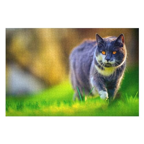 Klassische Puzzle für Erwachsene Teenager Freizeit Spaß Spiel Spielzeug Geeignet，Black cat Green Eyes Walk Grass, ，Lernspielzeug FüR Kinder Papier 52x38 von TDXYz