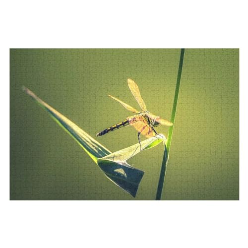 Klassische Puzzle für Erwachsene Teenager Freizeit Spaß Spiel Spielzeug Geeignet，Dragonfly, Green Grass Leaf, Insect，，Lernspielzeug FüR Kinder Holz 75x50 von TDXYz