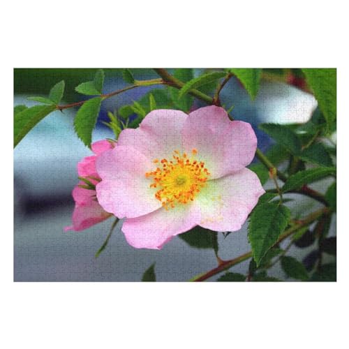 Klassische Puzzle für Erwachsene Teenager Freizeit Spaß Spiel Spielzeug Geeignet，One pink Rose Flower, ，Lernspielzeug FüR Kinder Holz 75x50 von TDXYz