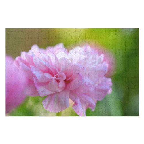 Klassische Puzzle für Erwachsene Teenager Freizeit Spaß Spiel Spielzeug Geeignet，，Pink Peony Flower Petals, ，Lernspielzeug FüR Kinder Papier 38x26 von TDXYz