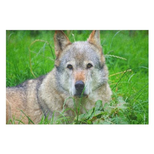 Klassische Puzzle für Erwachsene Teenager Freizeit Spaß Spiel Spielzeug Geeignet，Wolf Rest Look face, ，Lernspielzeug FüR Kinder Papier 38x26 von TDXYz