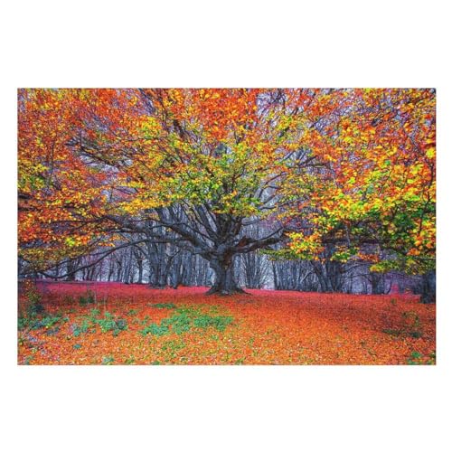 Puzzle für Erwachsene und Kinder ab 14 Jahren, 1000 StüCk，Forest one Tree red Leaves, ，Lernspielzeug FüR Kinder Papier 38x26 von TDXYz