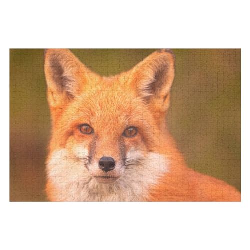 Puzzle für Erwachsene und Kinder ab 14 Jahren, 1000 StüCk，，Fox face Eyes, Ears, Nose, ，Lernspielzeug FüR Kinder Holz 75x50 von TDXYz