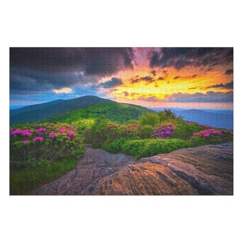 Puzzle für Erwachsene und Kinder ab 14 Jahren, 1000 StüCk，Green Mountains pink Flowers Sunrise Clouds，，Lernspielzeug FüR Kinder Holz 75x50 von TDXYz