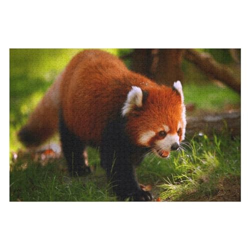 Puzzle für Erwachsene und Kinder ab 14 Jahren, 1000 StüCk，Roter Panda läuft gähnt，，Lernspielzeug FüR Kinder Papier 38x26 von TDXYz