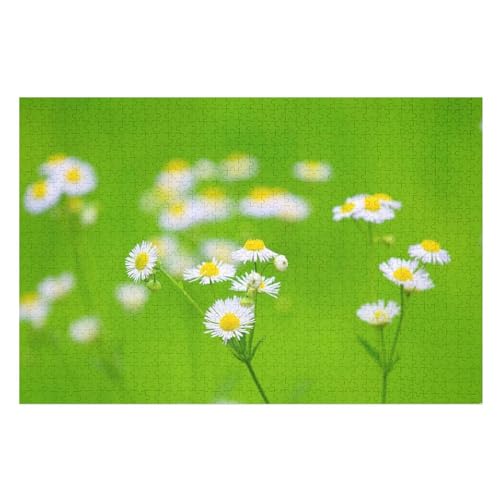 Puzzle für Erwachsene und Kinder ab 14 Jahren, 1000 StüCk，，White Daisy Flowers, Green Spring，，Lernspielzeug FüR Kinder Papier 52x38 von TDXYz