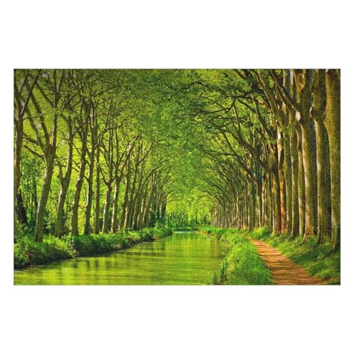 Wohnkultur Geburtstag ，Challenging Games Moderne Lernspiel Stress Relief ，1000 StüCk，, Canal, River, Green Trees，，Lernspielzeug FüR Kinder Holz 75x50 von TDXYz