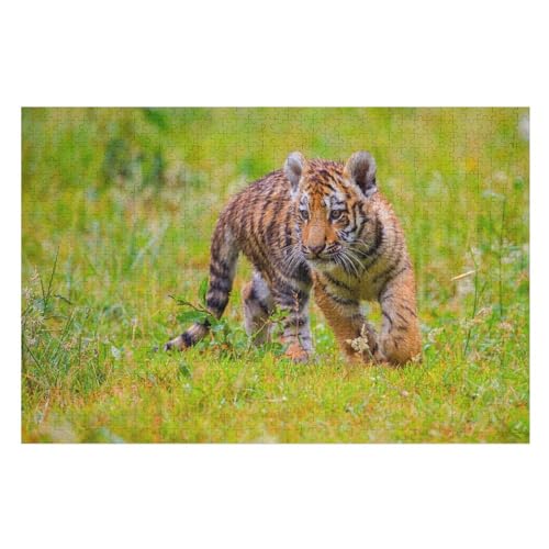 Wohnkultur Geburtstag ,Challenging Games Moderne Lernspiel Stress Relief ,1000 StüCk,Little Tiger Look Grass,,Lernspielzeug FüR Kinder Papier 38x26 Wohnkultur Geburtstag ,Challenging Games Moderne Lernspiel Stress Relief ,1000 StüCk,Little Tiger Look Grass,,Lernspielzeug FüR Kinder Papier 38x26 von TDXYz