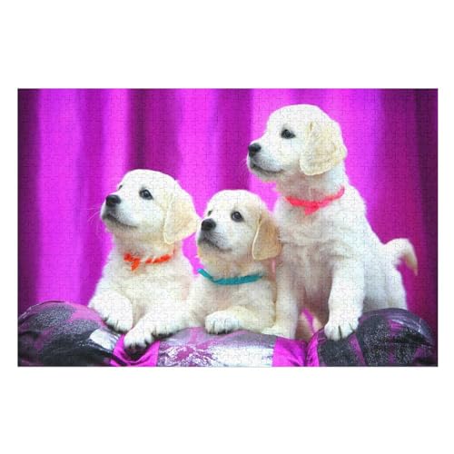 Wohnkultur Geburtstag ，Challenging Games Moderne Lernspiel Stress Relief ，1000 StüCk，Three White Puppies Labrador Retriever，，Lernspielzeug FüR Kinder Papier 70x50 von TDXYz