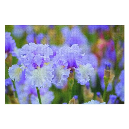 für Familie Freunde Dekorativ，1000 StüCk，Light Purple iris Flowers Water Droplets, ，Lernspielzeug FüR Kinder Holz 75x50 von TDXYz
