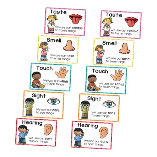 TEHAUX 2 Sets Lernkarten Für Kleinkinder Poster Zur Frühkindlichen – Lernkarten Für Kleinkinder Kognitiven Lernen Und Zur Sensorischen Entwicklung TEHAUX 2 Sets Lernkarten Für Kleinkinder Poster Zur Frühkindlichen – Lernkarten Für Kleinkinder Kognitiven Lernen Und Zur Sensorischen Entwicklung von TEHAUX