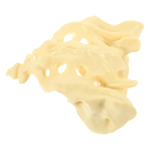 TEMPNAP 1 Stück Menschliches Skelett Für Trainingsübungen Pvc-material Und Anatomische Merkmale TEMPNAP 1 Stück Menschliches Skelett Für Trainingsübungen Pvc-material Und Anatomische Merkmale von TEMPNAP
