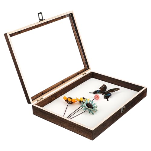 TEMPNAP Display Box mit Klarsichtdeckel für Insekten Schmetterlinge Sammlungen Stilvolle Aufbewahrung aus Hochwertigem TEMPNAP Display Box mit Klarsichtdeckel für Insekten Schmetterlinge Sammlungen Stilvolle Aufbewahrung aus Hochwertigem von TEMPNAP