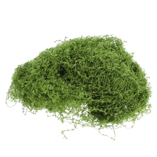 TEMPNAP Simulation Landschaft Ranken Miniatur Bäume Handwerk Miniatur Wurzel Ranke Zug Ranke Modell Szene Pflanze Für DIY Mini Modell Szene Eisenbahn Fee Garten Landschaft TEMPNAP Simulation Landschaft Ranken Miniatur Bäume Handwerk Miniatur Wurzel Ranke Zug Ranke Modell Szene Pflanze Für DIY Mini Modell Szene Eisenbahn Fee Garten Landschaft von TEMPNAP