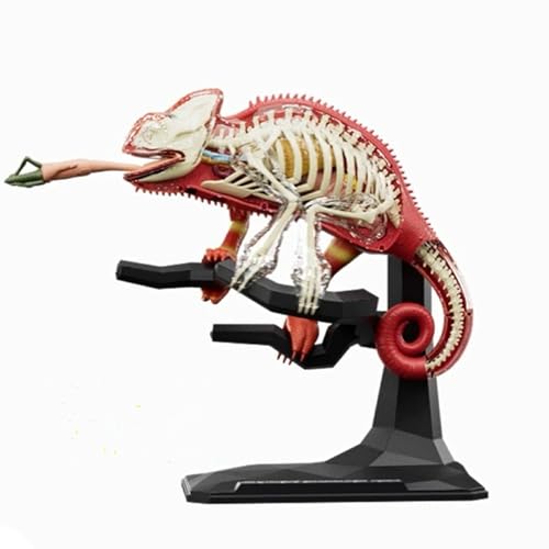 Tiermodell Early Teaching Toy Für Kinder Bildungsmodell Mit Abnehmbaren Tierorganen Und Body Teil Bildungsrätsel Tiermodell Early Teaching Toy Für Kinder Bildungsmodell Mit Abnehmbaren Tierorganen Und Body Teil Bildungsrätsel von TENYELE