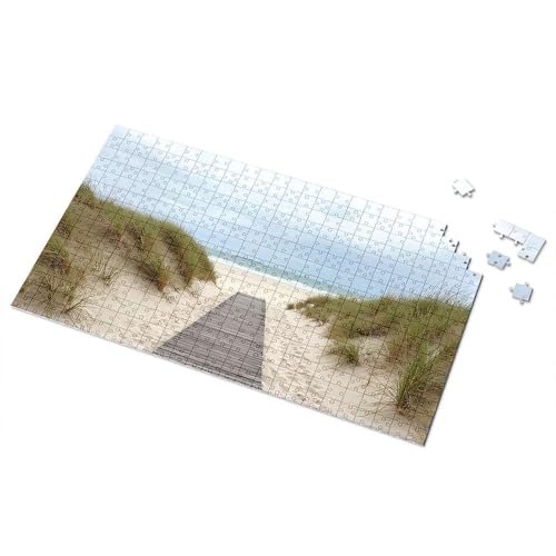 3 Jahre altes Mädchen Geschenke Path To The Beach: A Serene Coastal Scene Picture Puzzle Board Puzzles For Adults 500 Pieces (1000PCS) von TFSW