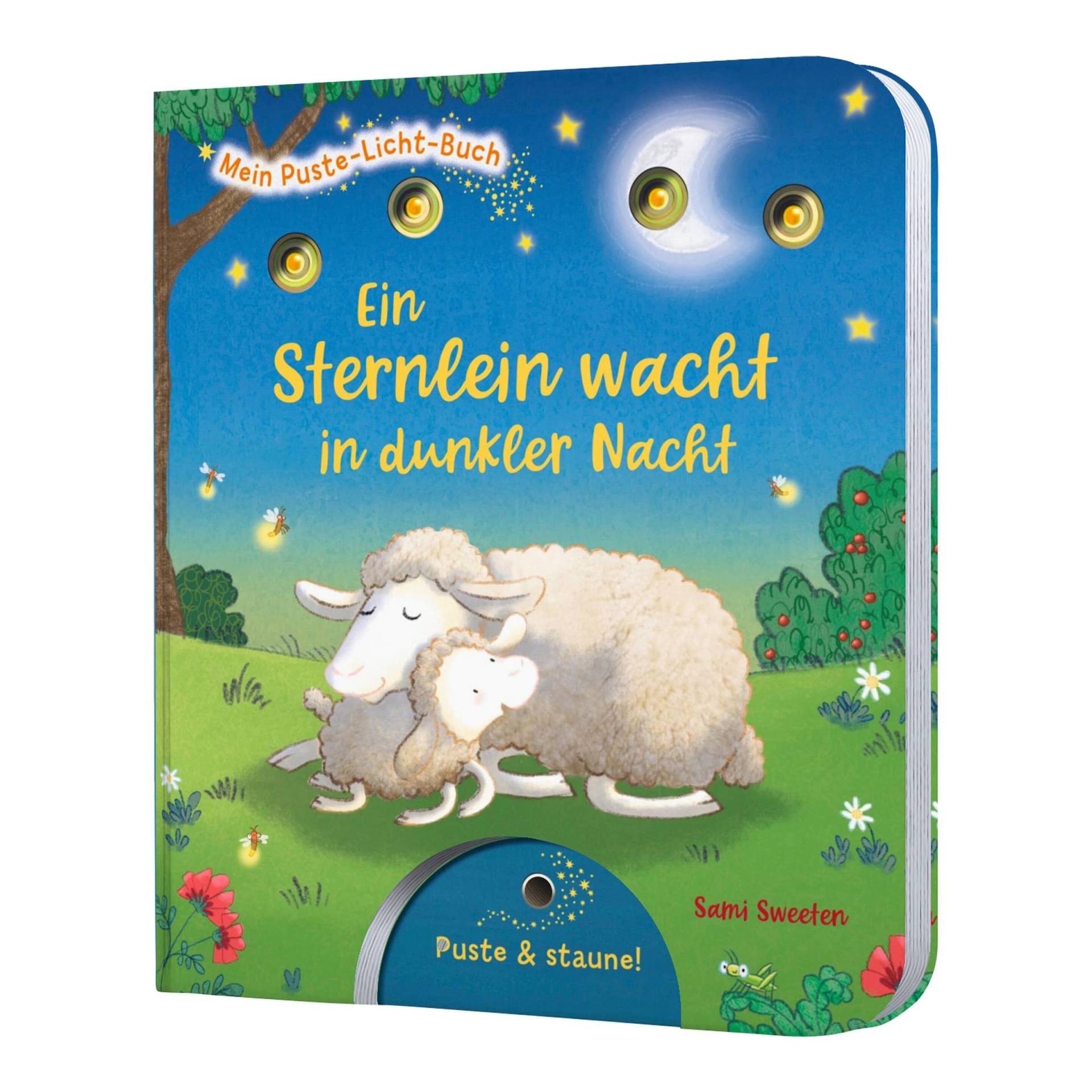 Thienemann-Esslinger Mein Puste-Licht-Buch - Ein Sternlein wacht in dunkler Nacht von Thienemann-Esslinger