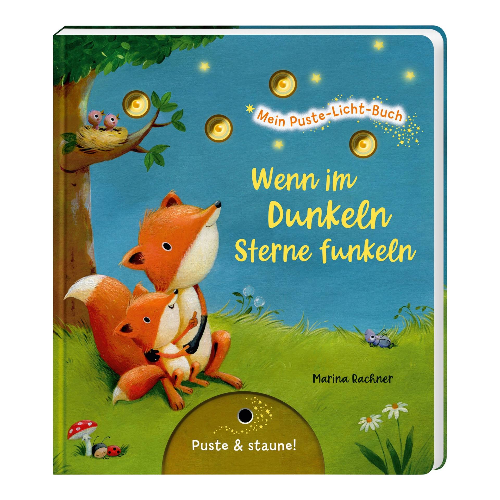 Thienemann-Esslinger Mein Puste-Licht-Buch - Wenn im Dunkeln Sterne funkeln von Thienemann-Esslinger