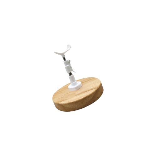 THINCAN 1/3 1/4 1/6 1/8 Puppenausstellungshalter Mit Holzbasi von THINCAN