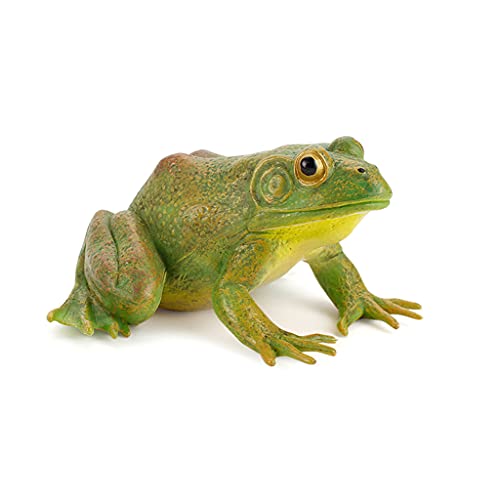 THINCAN Interesse Kinder Realistisch Für Frog Kids Trick Supplies Kinderparty Entlasten Stress Kinder Geburtstag Geschenk von THINCAN