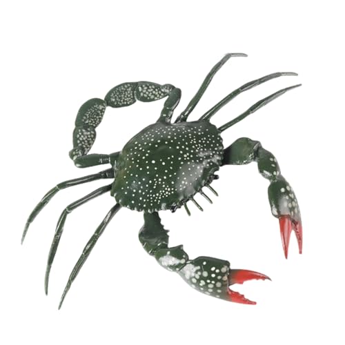 THINCAN Lifelikes Crabbing Family Toy Set Robuste Plastiktierfiguren Handwerk Für Kinder Pädagogischer Spaß Täglich Gebrauch THINCAN Lifelikes Crabbing Family Toy Set Robuste Plastiktierfiguren Handwerk Für Kinder Pädagogischer Spaß Täglich Gebrauch von THINCAN