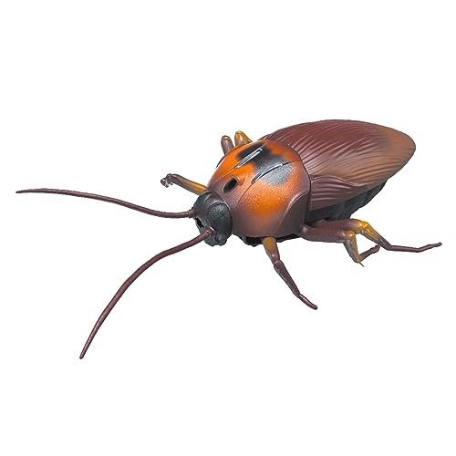 THINCAN Scary Realistic Cockroach Party Gunst Für Kinder Und Erwachsene Für Kreative Lieferungen Halloween Scary Trick Streichzubehör von THINCAN