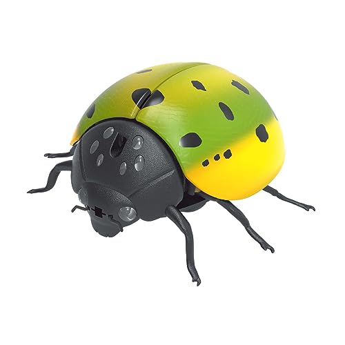 THINCAN Scary Realistic Cockroach Party Gunst Für Kinder Und Erwachsene Für Kreative Lieferungen Halloween Scary Trick Streichzubehör von THINCAN