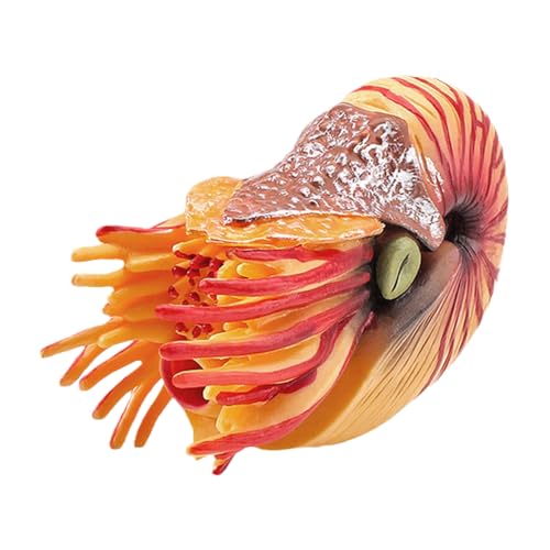 THINCAN Statuenfigur Tiermodell Auto Dekoration Replik Hobbysammlungen Backen Accessory Kinder Lernen Requisiten THINCAN Statuenfigur Tiermodell Auto Dekoration Replik Hobbysammlungen Backen Accessory Kinder Lernen Requisiten von THINCAN