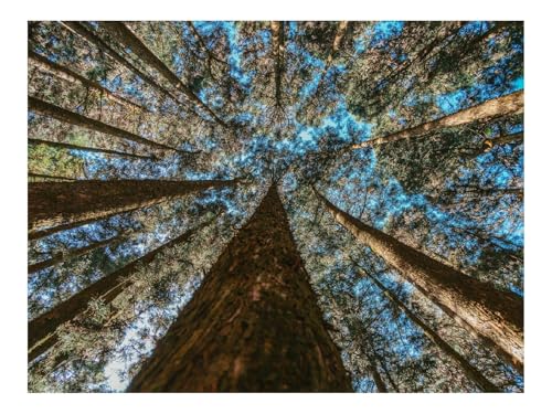 1000 Teile Erwachsenenpuzzle ab 14 Jahren-Bäume,Stämme,Untersicht,Zweige 70x50cm von THISIT