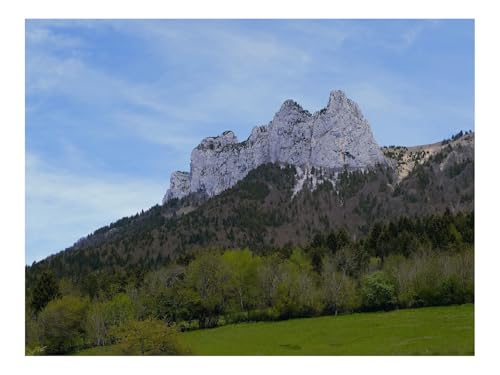 1000 Teile Erwachsenenpuzzle ab 14 Jahren-Berg,Bäume,Grün,Landschaft 70x50cm von THISIT