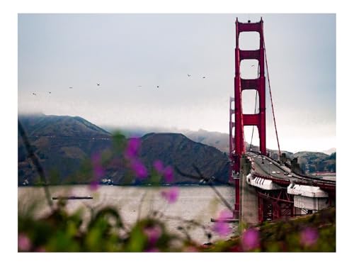 1000 Teile Erwachsenenpuzzle ab 14 Jahren-Brücke,Architektur,Wasser 70x50cm von THISIT