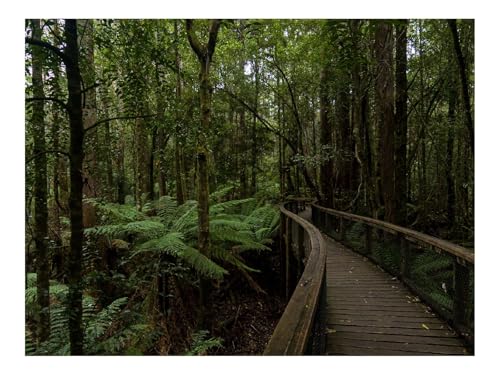 1000 Teile Erwachsenenpuzzle ab 14 Jahren-Brücke,Bäume,Wälder 70x50cm 1000 Teile Erwachsenenpuzzle ab 14 Jahren-Brücke,Bäume,Wälder 70x50cm von THISIT