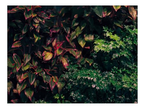 1000 Teile Erwachsenenpuzzle ab 14 Jahren-Büsche,Pflanzen,Blätter 70x50cm 1000 Teile Erwachsenenpuzzle ab 14 Jahren-Büsche,Pflanzen,Blätter 70x50cm von THISIT