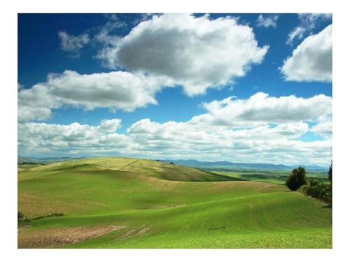 1000 Teile Erwachsenenpuzzle ab 14 Jahren-Ebene,Grüns,Wolken,Felder,Ruhe 70x50cm 1000 Teile Erwachsenenpuzzle ab 14 Jahren-Ebene,Grüns,Wolken,Felder,Ruhe 70x50cm von THISIT