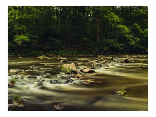 1000 Teile Erwachsenenpuzzle ab 14 Jahren-Fluss,Steine,Langzeitbelichtung,Bäume 70x50cm von THISIT