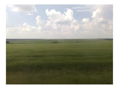 1000 Teile Erwachsenenpuzzle ab 14 Jahren-Himmel,Gras,Natur,Horizont,Wolken 70x50cm von THISIT