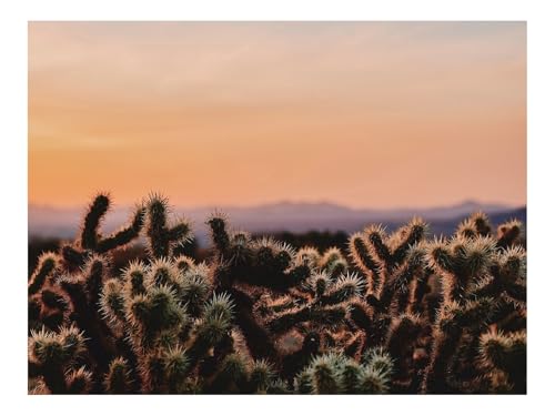 1000 Teile Erwachsenenpuzzle ab 14 Jahren-Kaktus,Wüste,Wildnis 70x50cm von THISIT