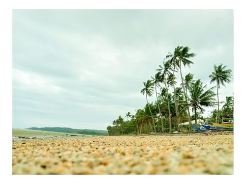 1000 Teile Erwachsenenpuzzle ab 14 Jahren-Küste,Kieselsteine,Strand 70x50cm 1000 Teile Erwachsenenpuzzle ab 14 Jahren-Küste,Kieselsteine,Strand 70x50cm von THISIT