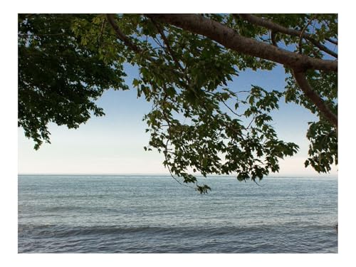 1000 Teile Erwachsenenpuzzle ab 14 Jahren-Küste,Meer,Sand 70x50cm 1000 Teile Erwachsenenpuzzle ab 14 Jahren-Küste,Meer,Sand 70x50cm von THISIT