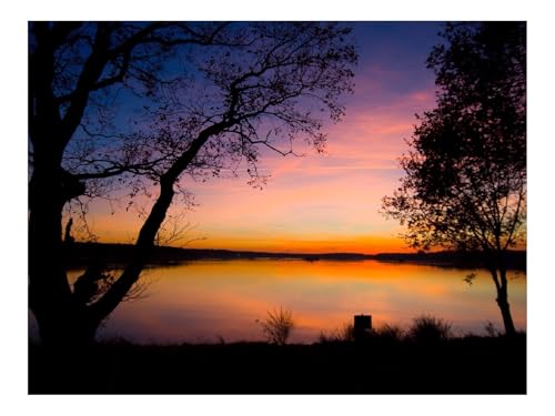 1000 Teile Erwachsenenpuzzle ab 14 Jahren-Niedergang,Bäume,Umrisse 70x50cm 1000 Teile Erwachsenenpuzzle ab 14 Jahren-Niedergang,Bäume,Umrisse 70x50cm von THISIT